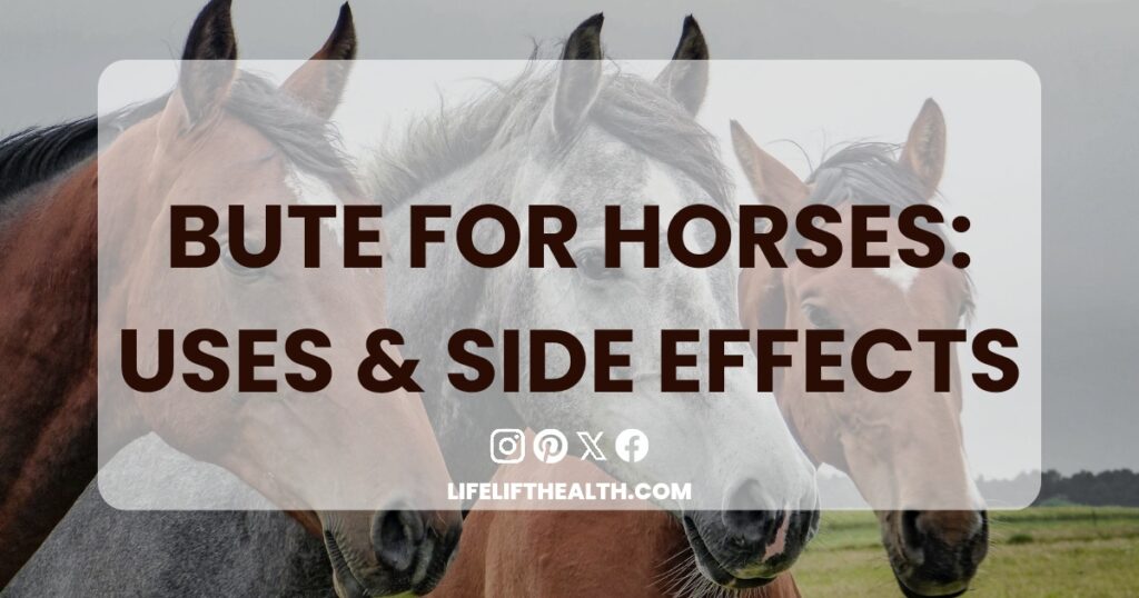 Bute for Horses: Uses & Side Effects