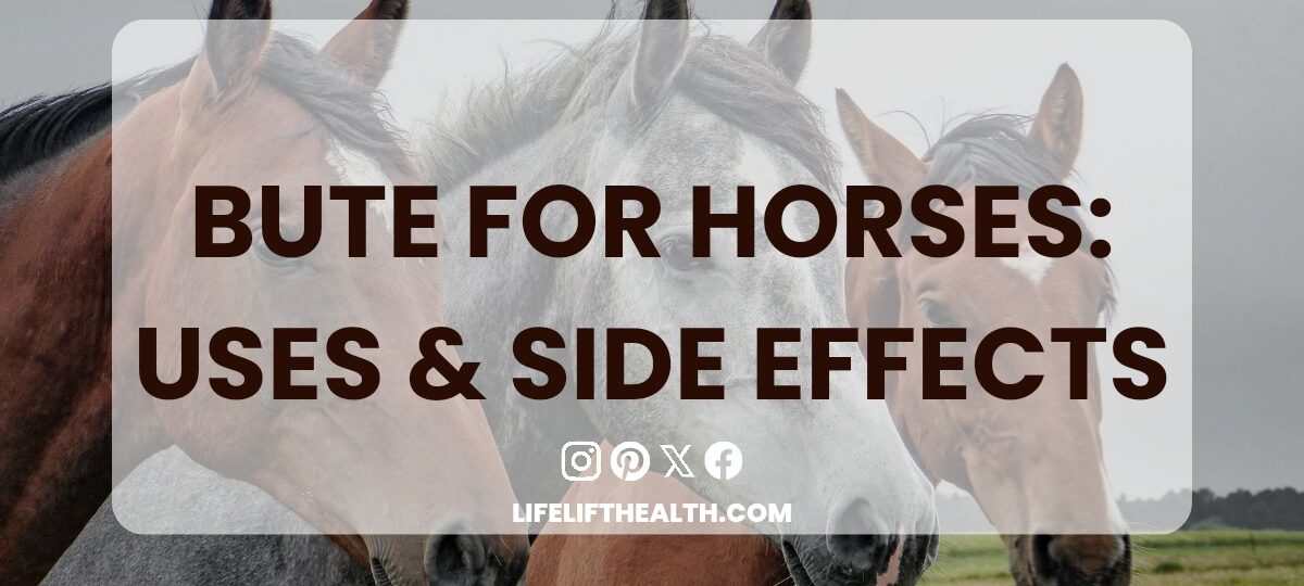 Bute for Horses: Uses & Side Effects