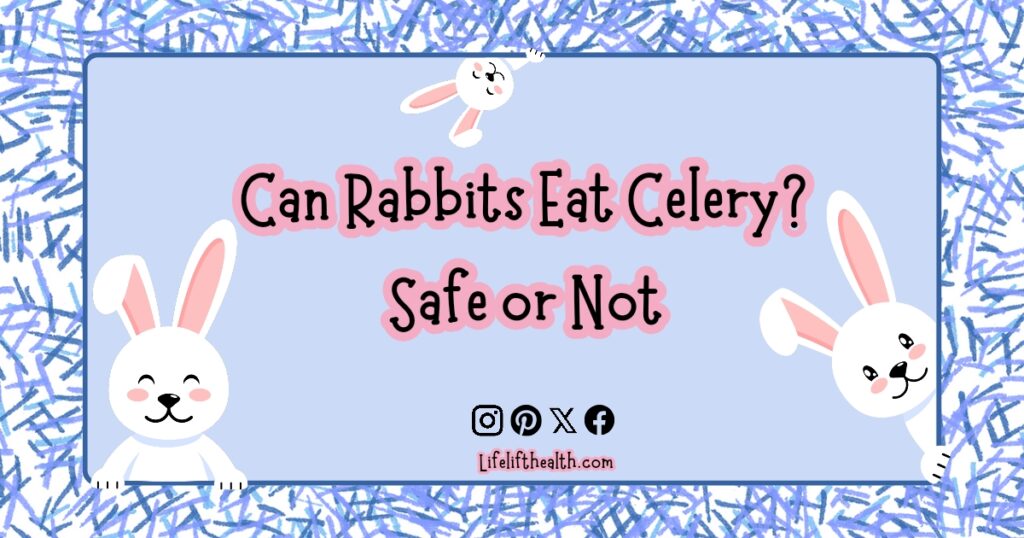 Can Rabbits Eat Celery? Safe or Not