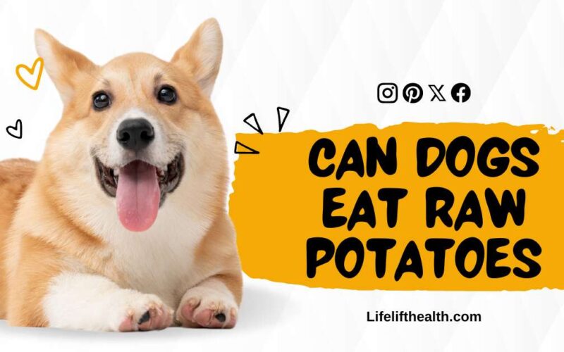 Can dogs eat raw potatoes