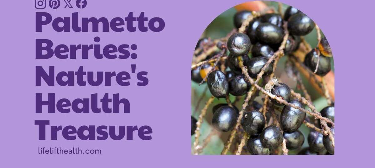 Palmetto Berries: Nature's Health Treasure