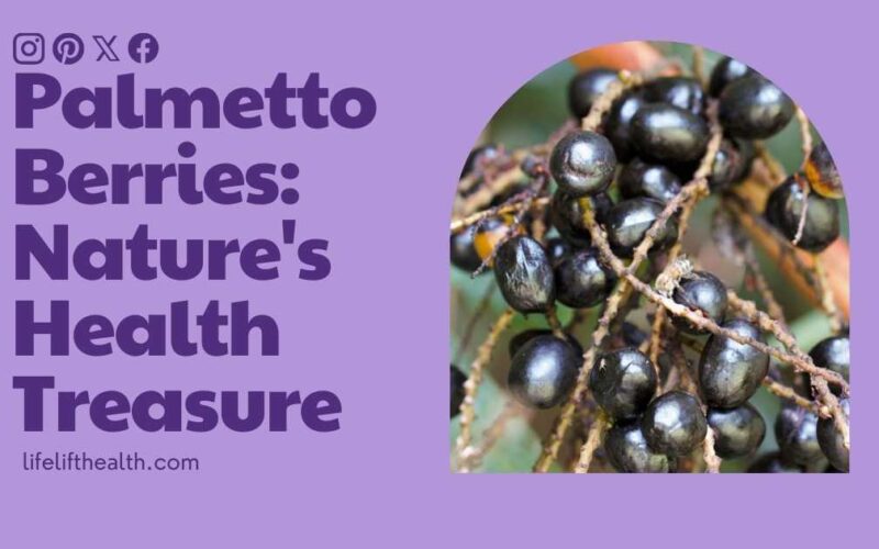 Palmetto Berries: Nature’s Health Treasure