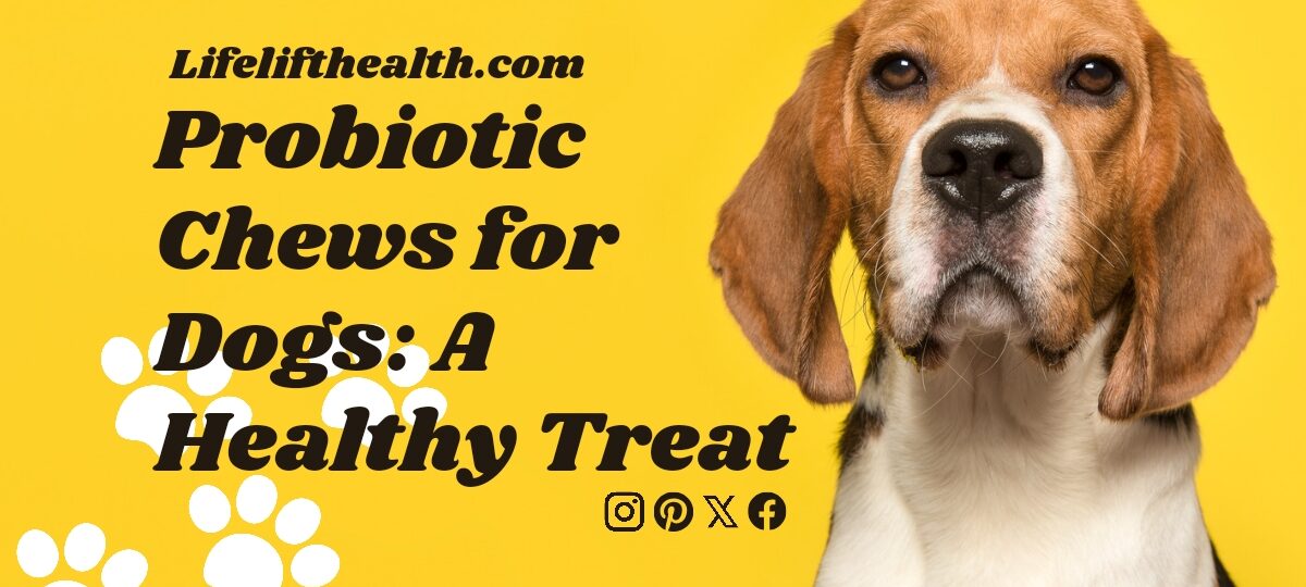 Probiotic Chews for Dogs: A Healthy Treat