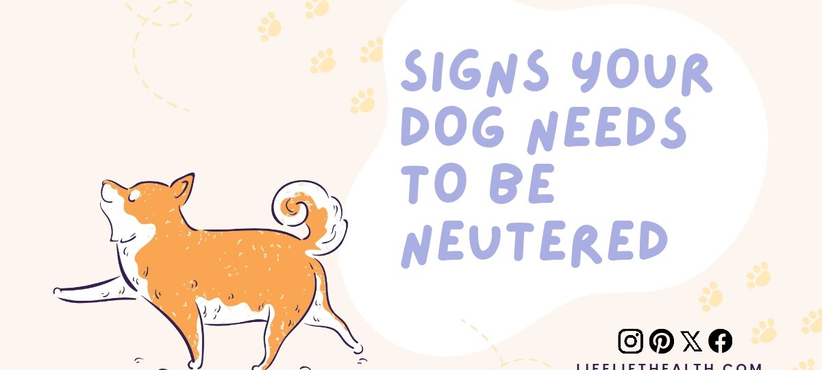 Signs your dog needs to be neutered