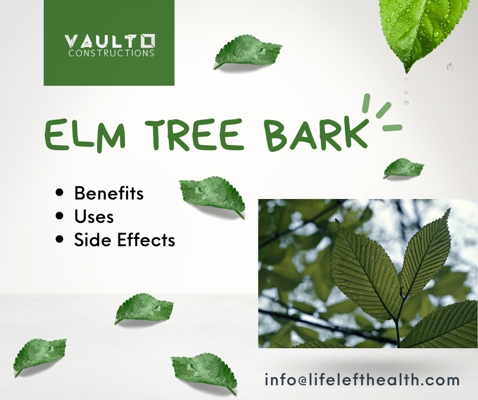 Elm Tree Bark: Benefits, Uses, and Side Effects